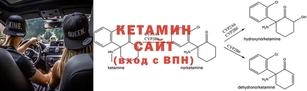 ПСИЛОЦИБИНОВЫЕ ГРИБЫ Бородино